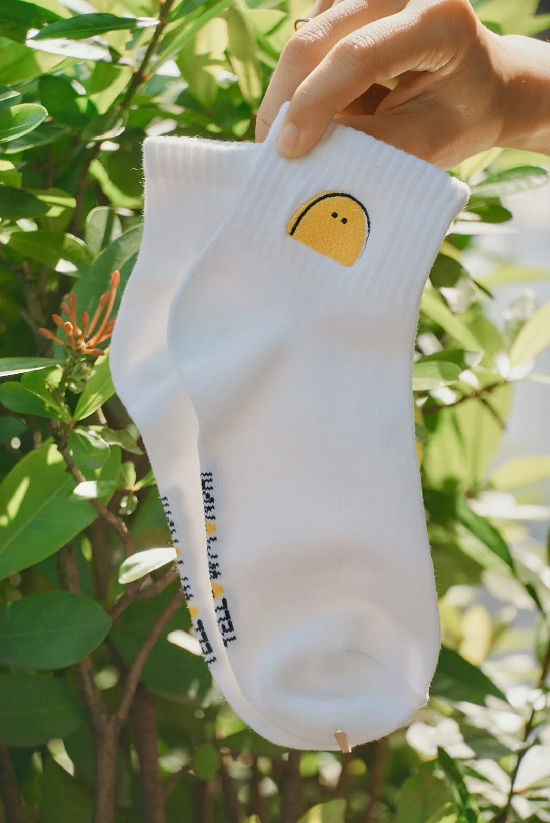 Walk with Yellow|短筒棉襪
